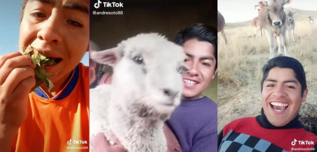 Student RECORDS TikTok of his LIFE in the FIELD 